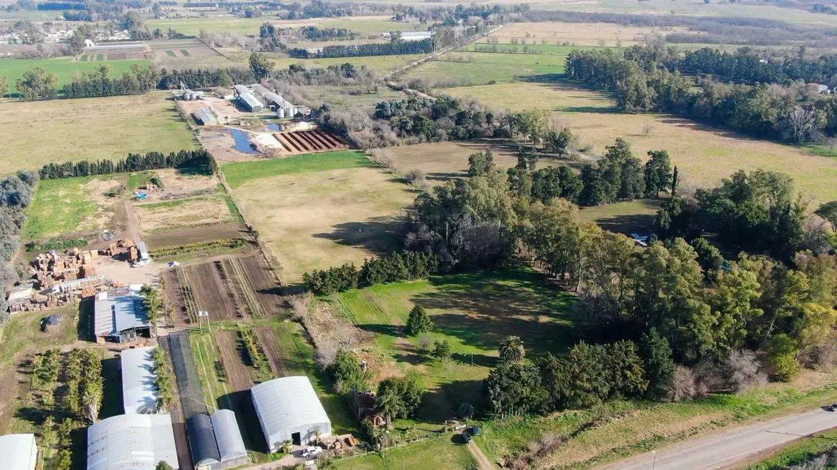 LOTE INDUSTRIAL RODRIGUEZ 3 HECTAREAS 4