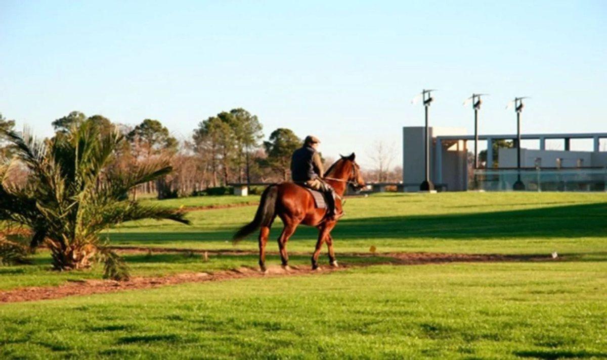 VENTA LOTE HARAS SANTA MARIA MOLINO PLANO APROBADO