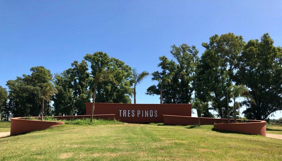 VENTA LOTE- TRES PINOS- B° NORTE 1000 M2