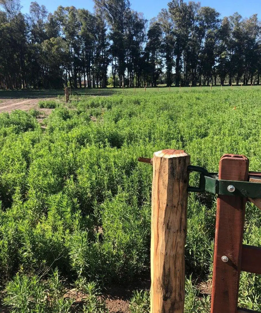 VENTA LOTE 2100M CHACRAS DE SAN ANDRES CERCA LUJAN 5