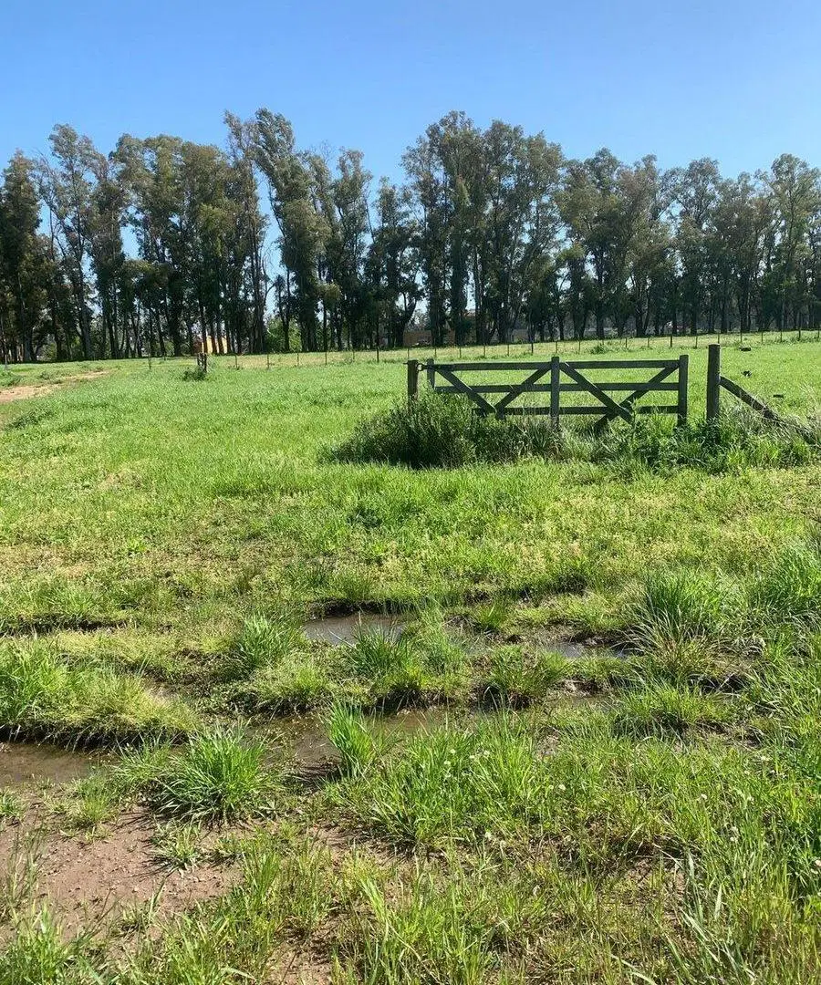 VENTA LOTE 2100M CHACRAS DE SAN ANDRES CERCA LUJAN 3