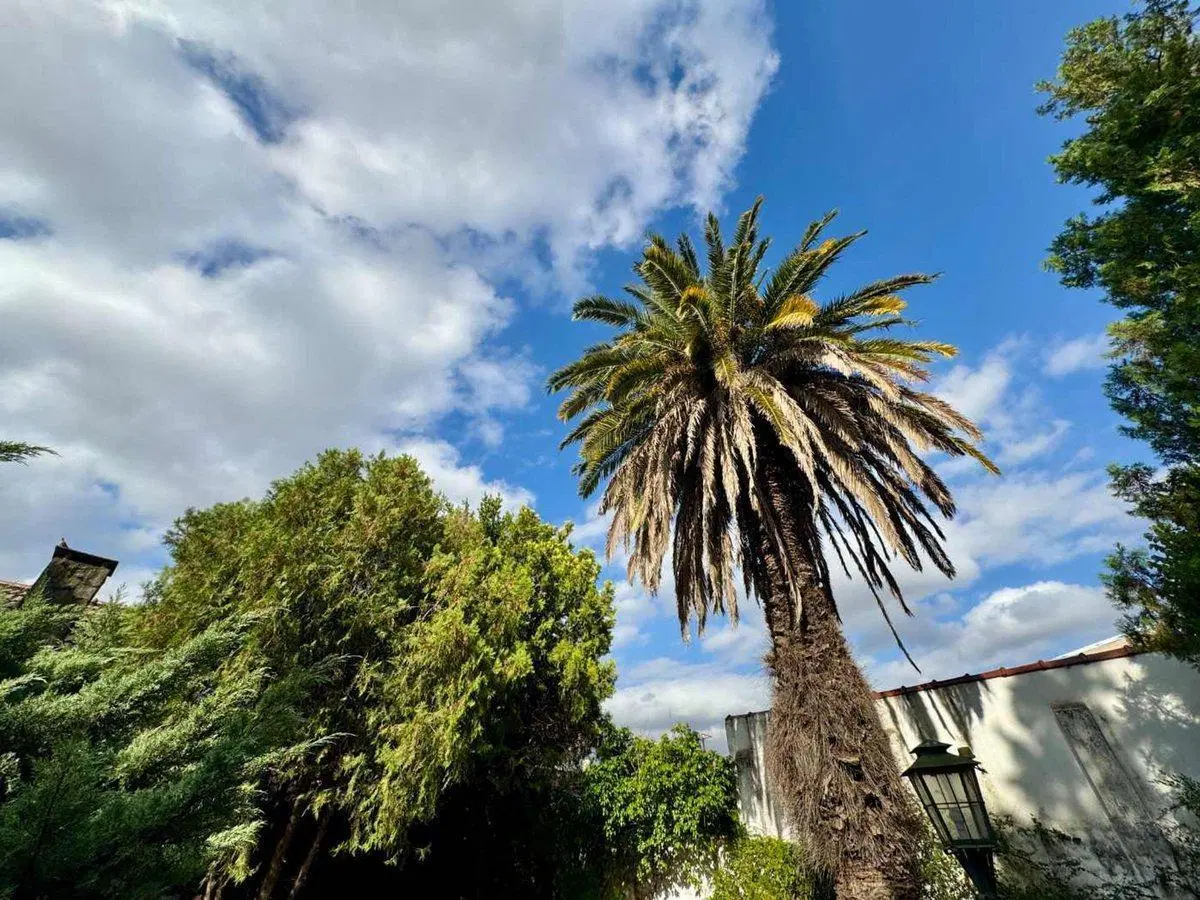 Venta Casa 1100m2 Apto Crédito Hipotecario 3