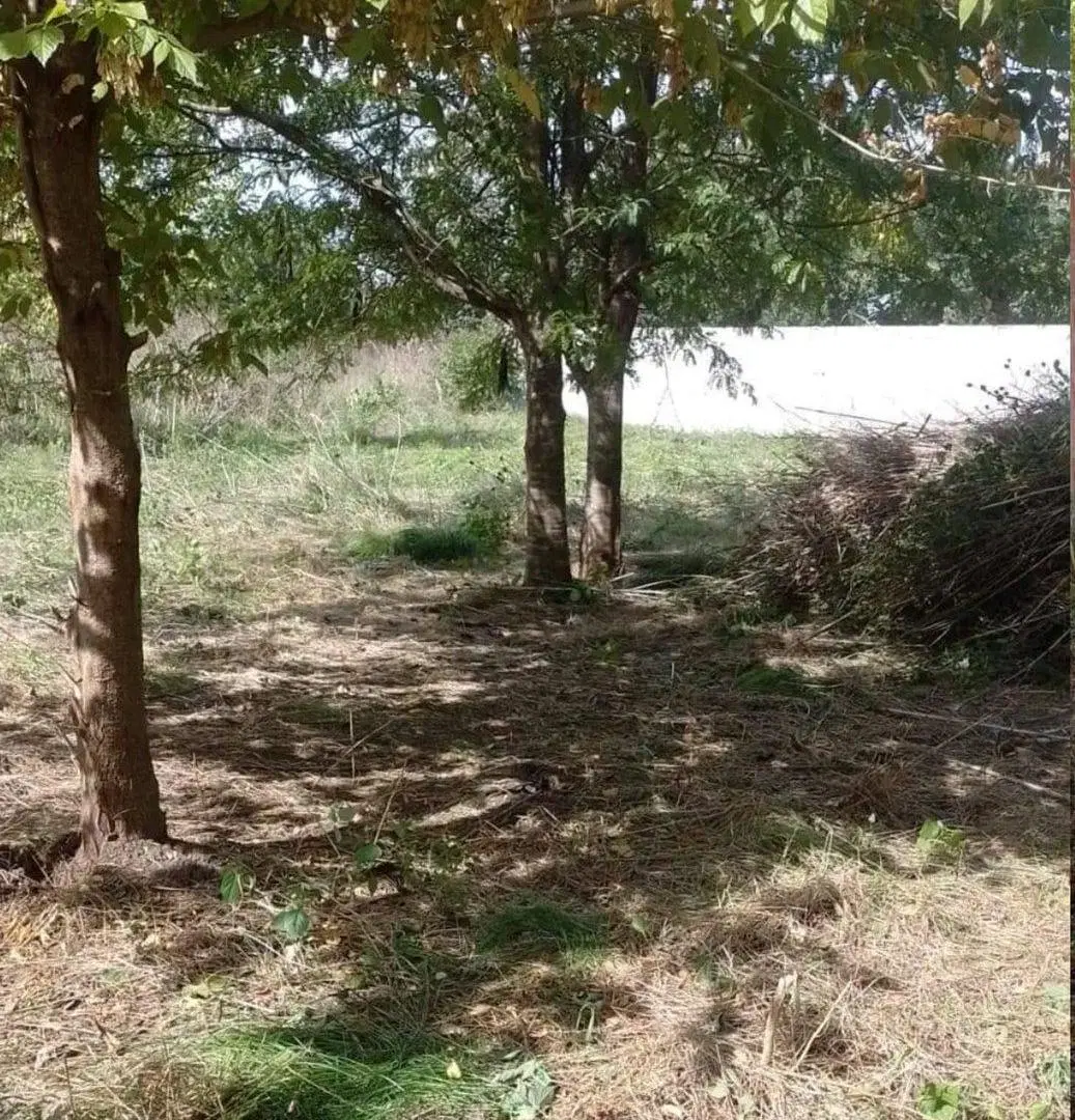 VENTA LOTE "Barrio Verde Las Moras" - PONTEVEDRA 4