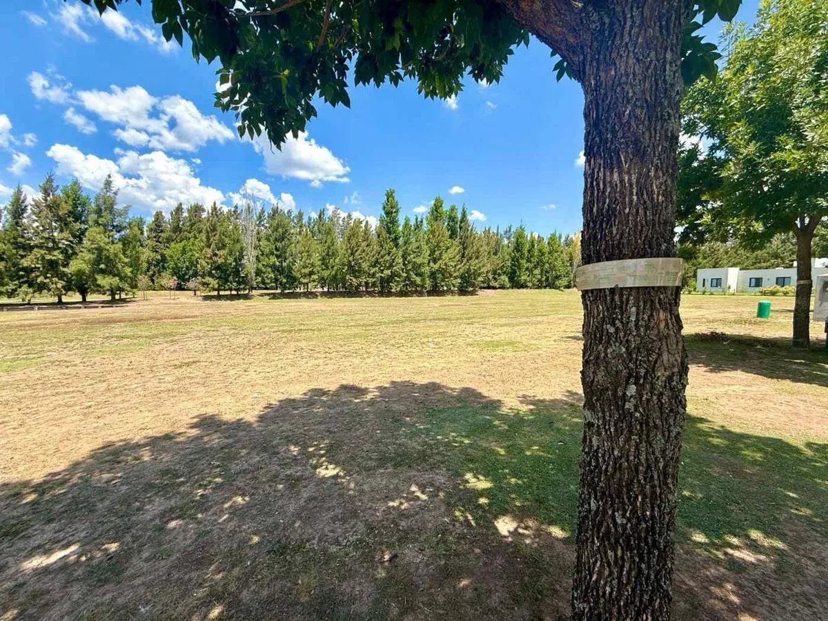 LOTE VENTA TERRAVISTA VISTA LAGUNA 4