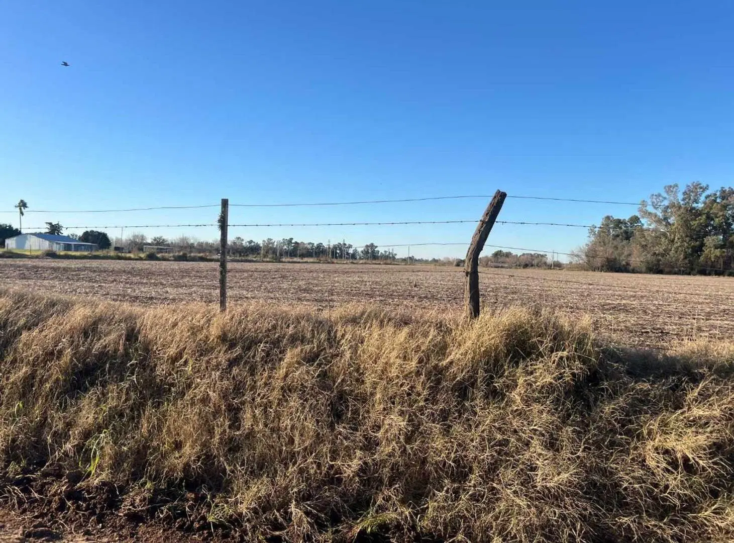 CAMPO 1,3 HECTÁREAS VENTA EN V. DEL PINO KM 44 5