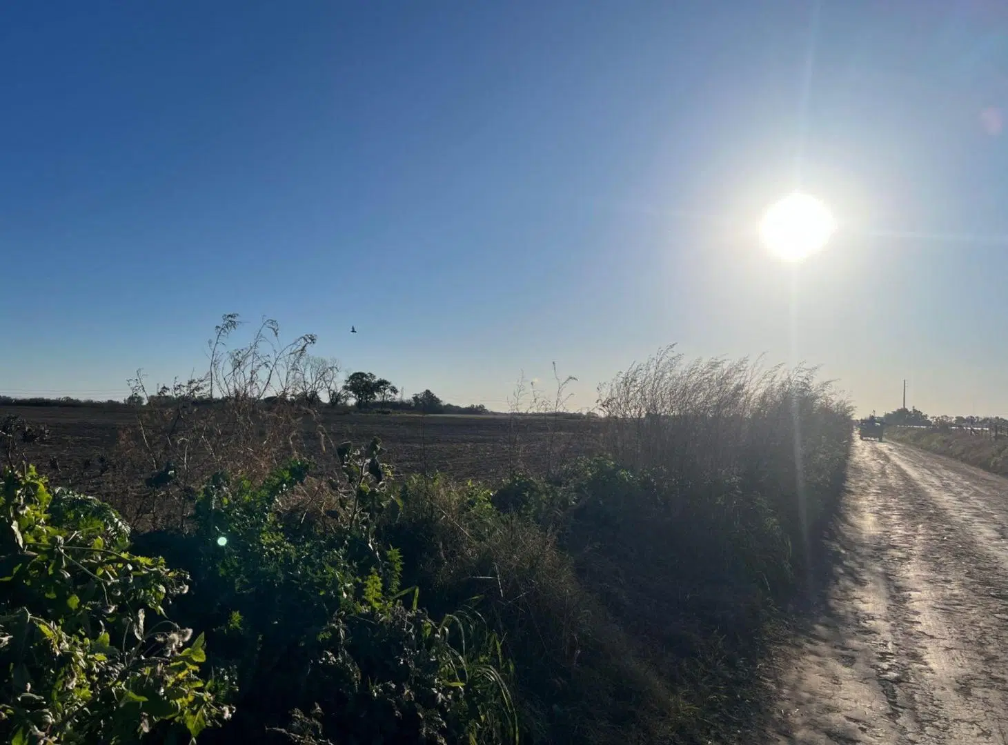 CAMPO 1,3 HECTÁREAS VENTA EN V. DEL PINO KM 44 3
