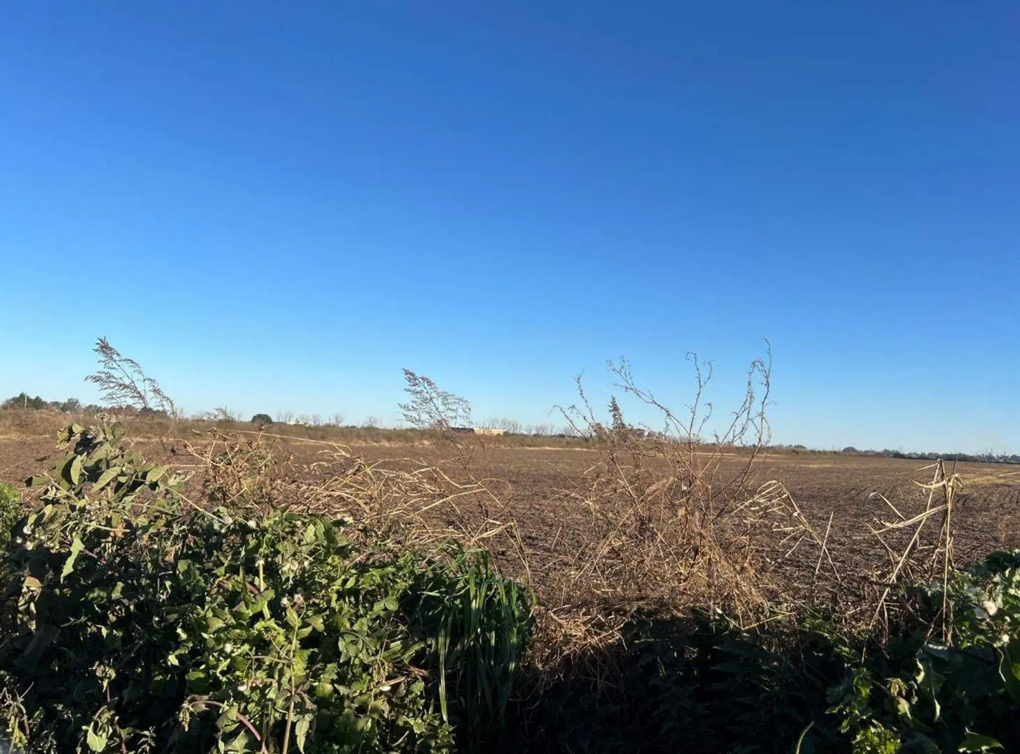 CAMPO 1,3 HECTÁREAS VENTA EN V. DEL PINO KM 44 2