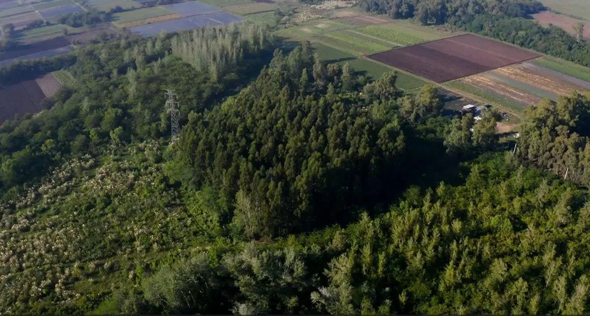 Campo en venta, Pilar 3