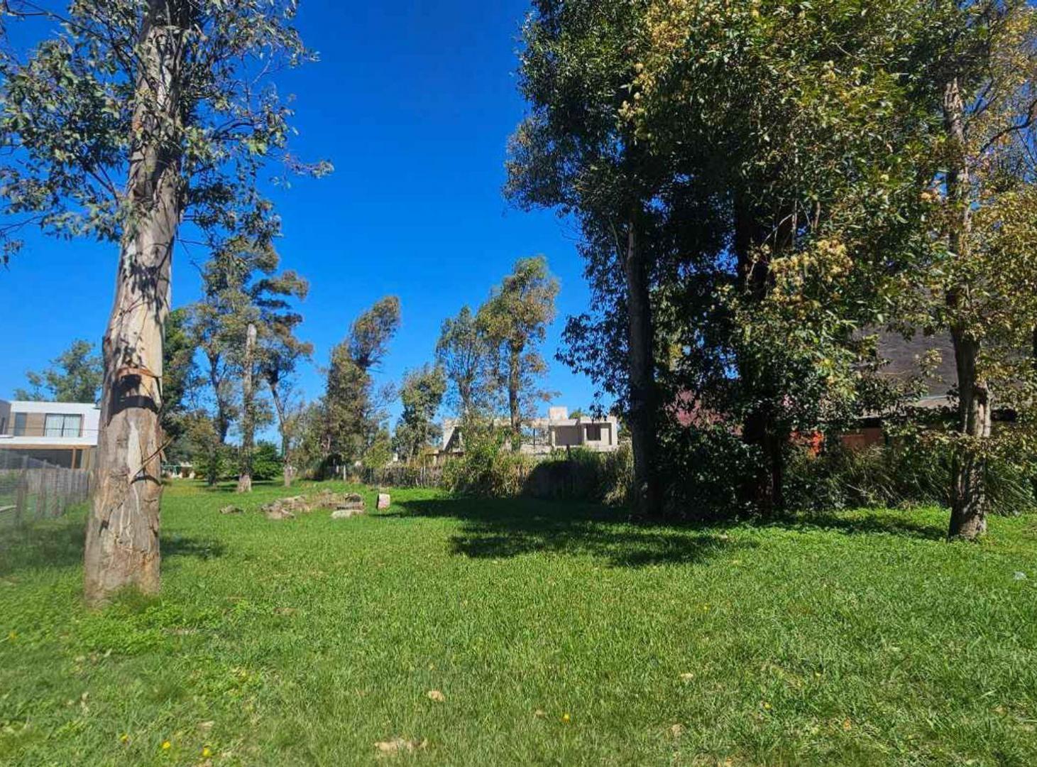LOTE CENTRAL 600M2 EN ALVAREZ DEL BOSQUE MORENO