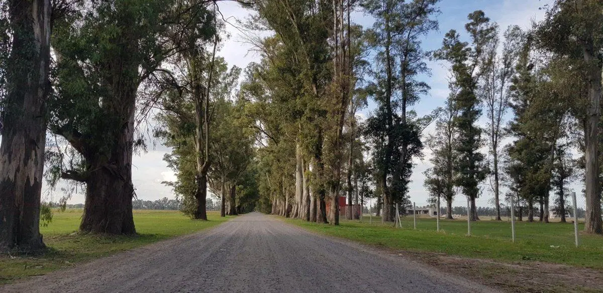 LOTE EN VENTA 1480,30 MTS 3 PINOS GRAL RODRIGUEZ 3