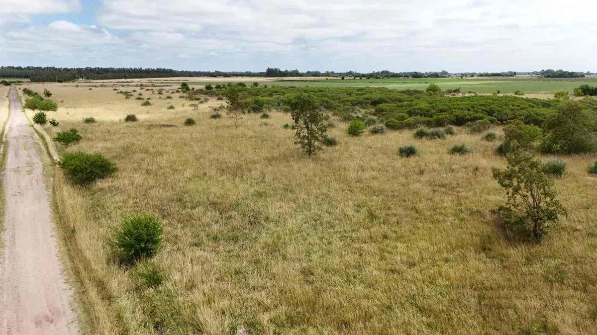 VENTAPERMUTA CAMPO DE 10 HECTARIAS LAGUNA DE LOBOS 4