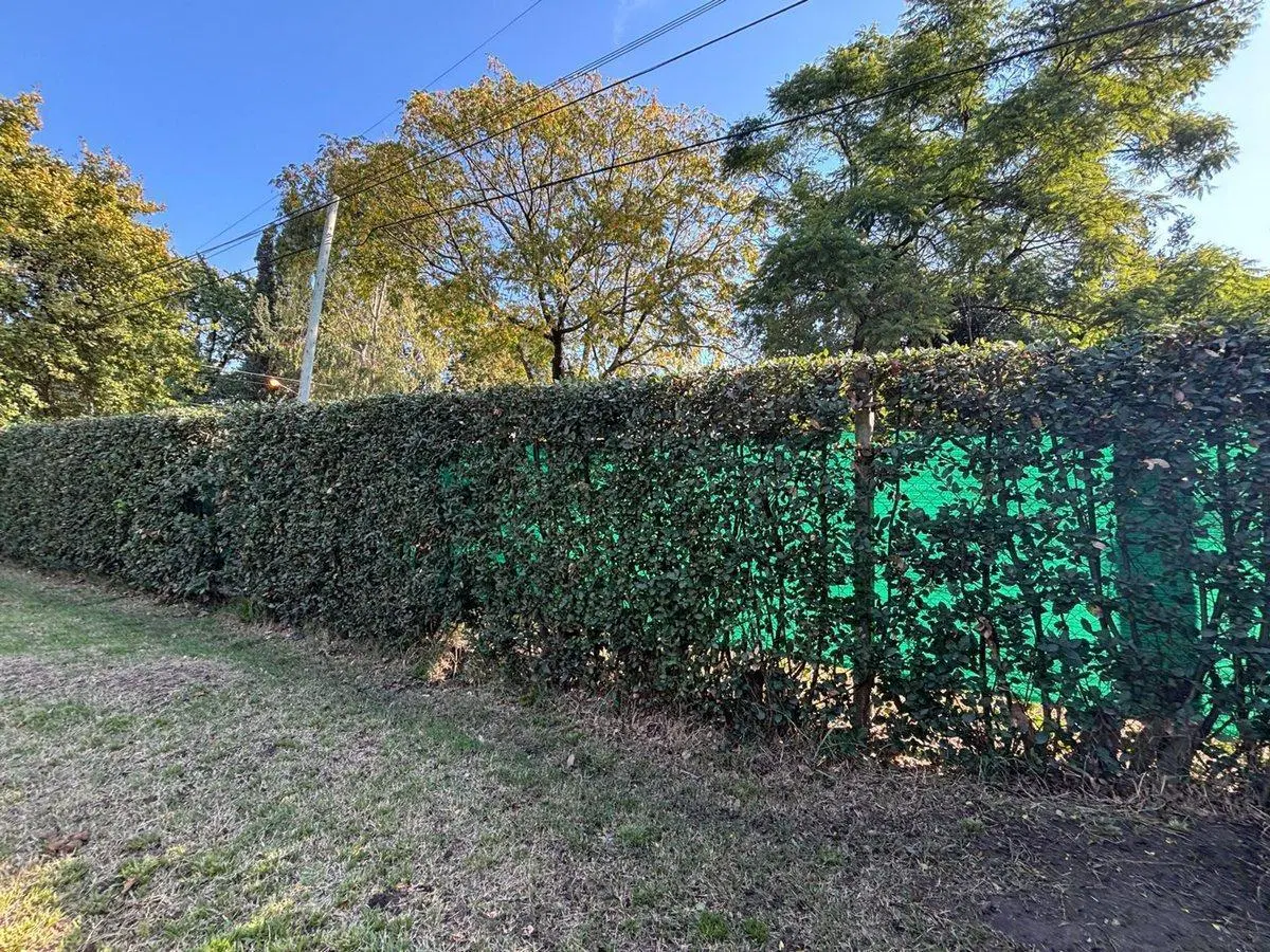 VENTA LOTE CON MEJORAS  MORENO 4
