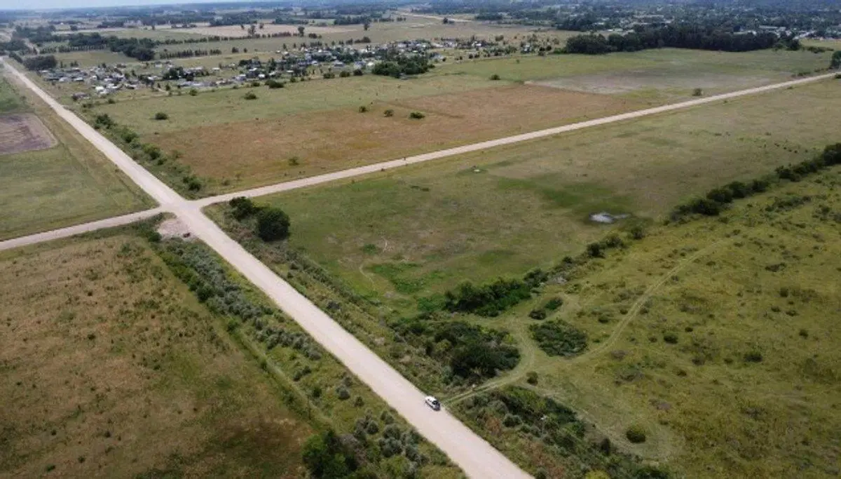 VENTA 1.5 HECTAREAS EN  SAN MIGUEL DEL MONTE 5