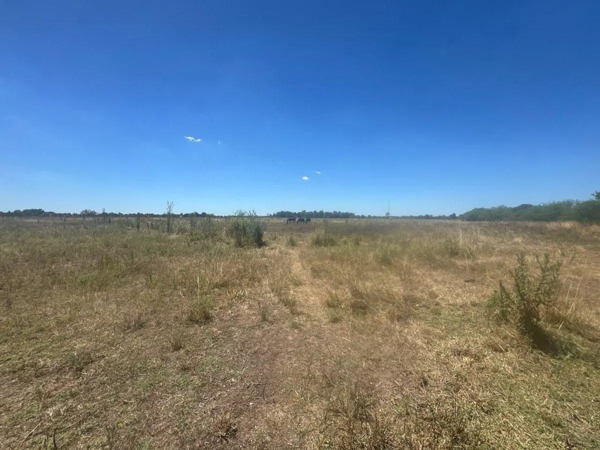 VENTA 10.5 HECTAREAS EN SAN MIGUEL DEL MONTE 5