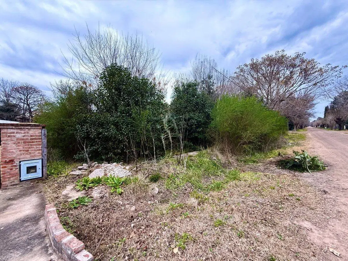LOTE EN VENTA EN LAGUNA DE LOBOS 1