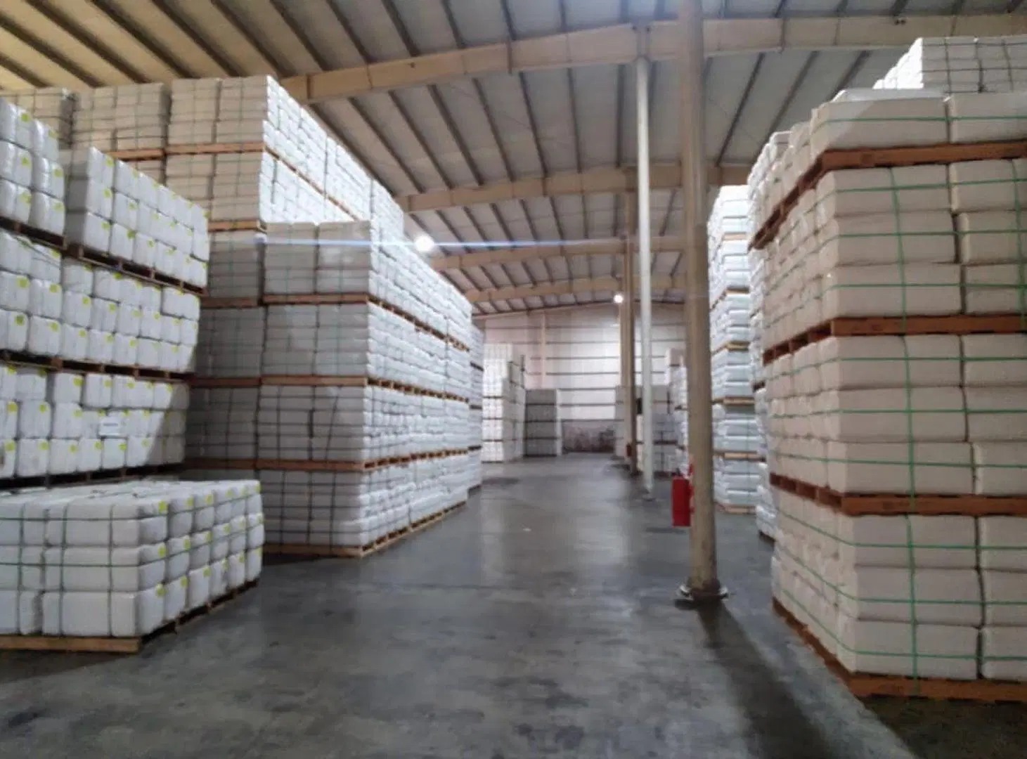 VENTA NAVE INDUSTRIAL , RUTA 1001 SAN PEDRO. 4