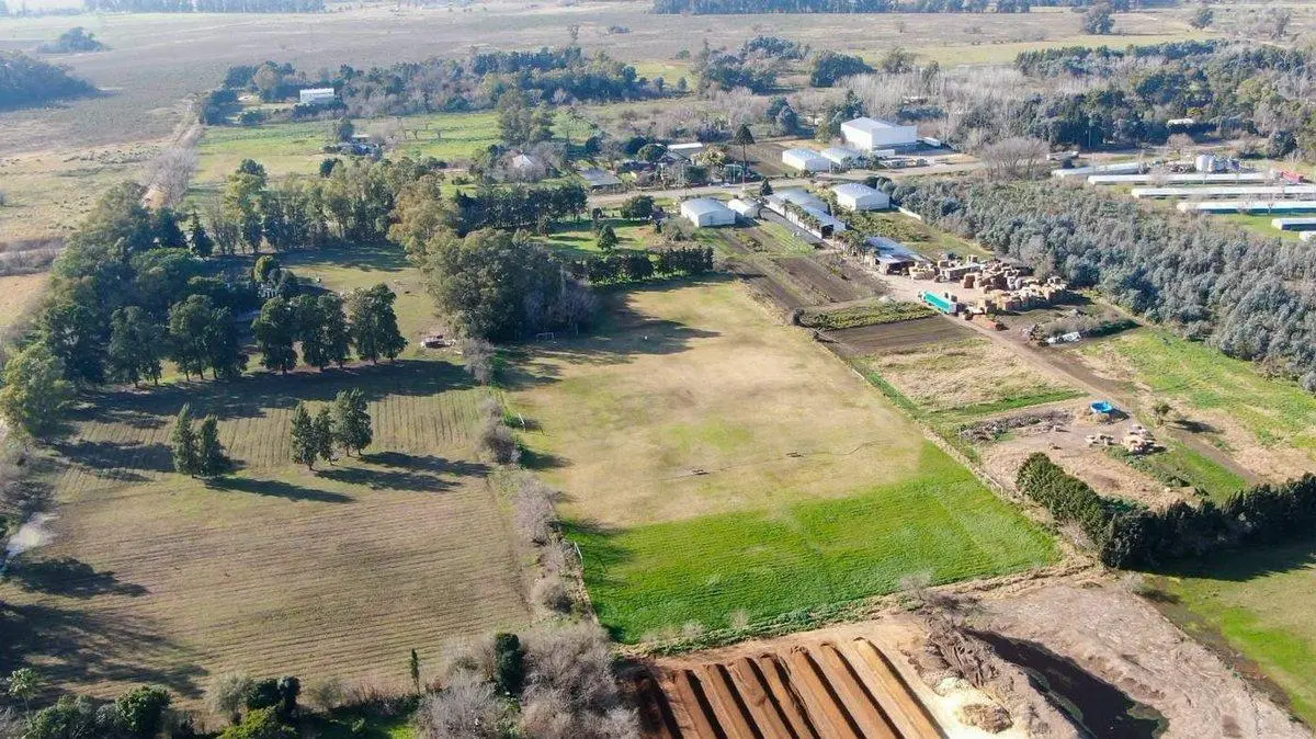 LOTE INDUSTRIAL RODRIGUEZ 3 HECTAREAS 8