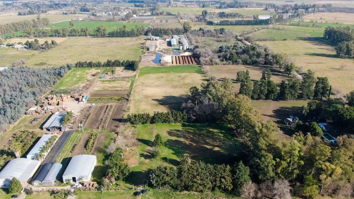 LOTE INDUSTRIAL RODRIGUEZ 3 HECTAREAS 4