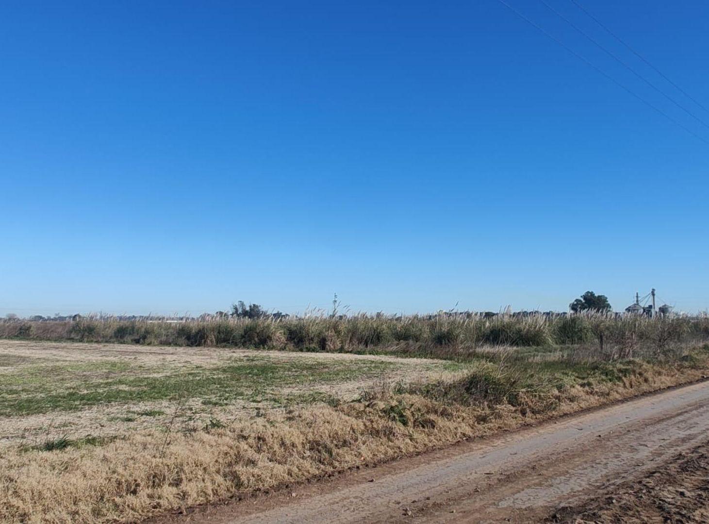 Foto de CAMPO 1,3 HECTÁREAS VENTA EN V. DEL PINO KM 44, imagen 5
