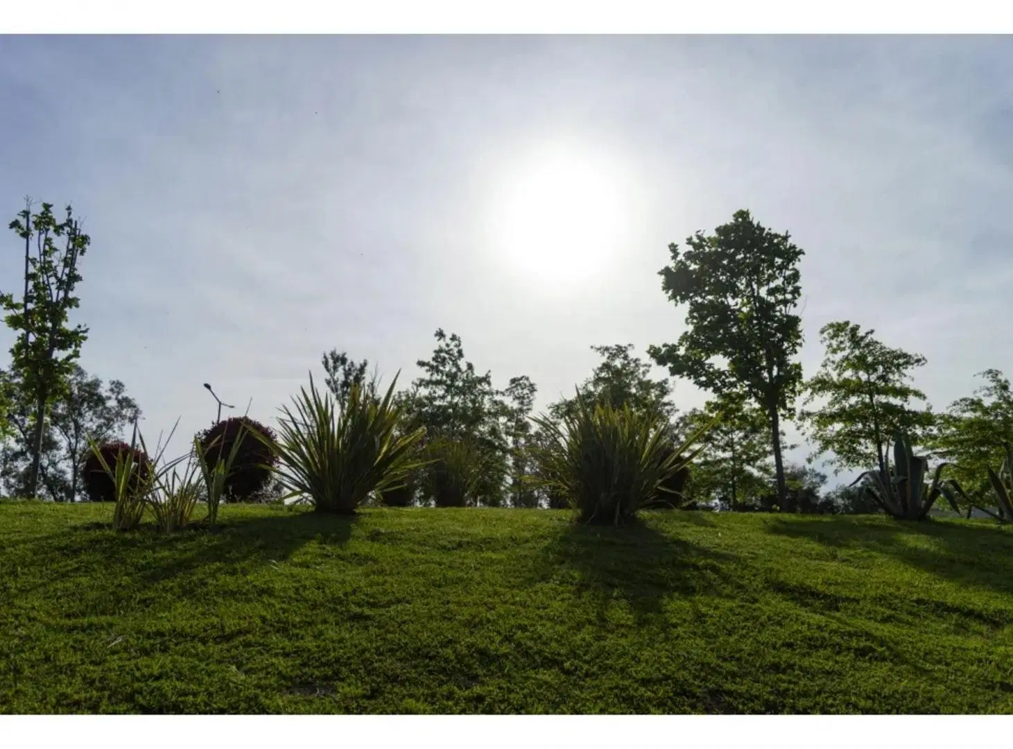 VENTA LOTE 1003M2 LOS JUNCOS LUJAN 5