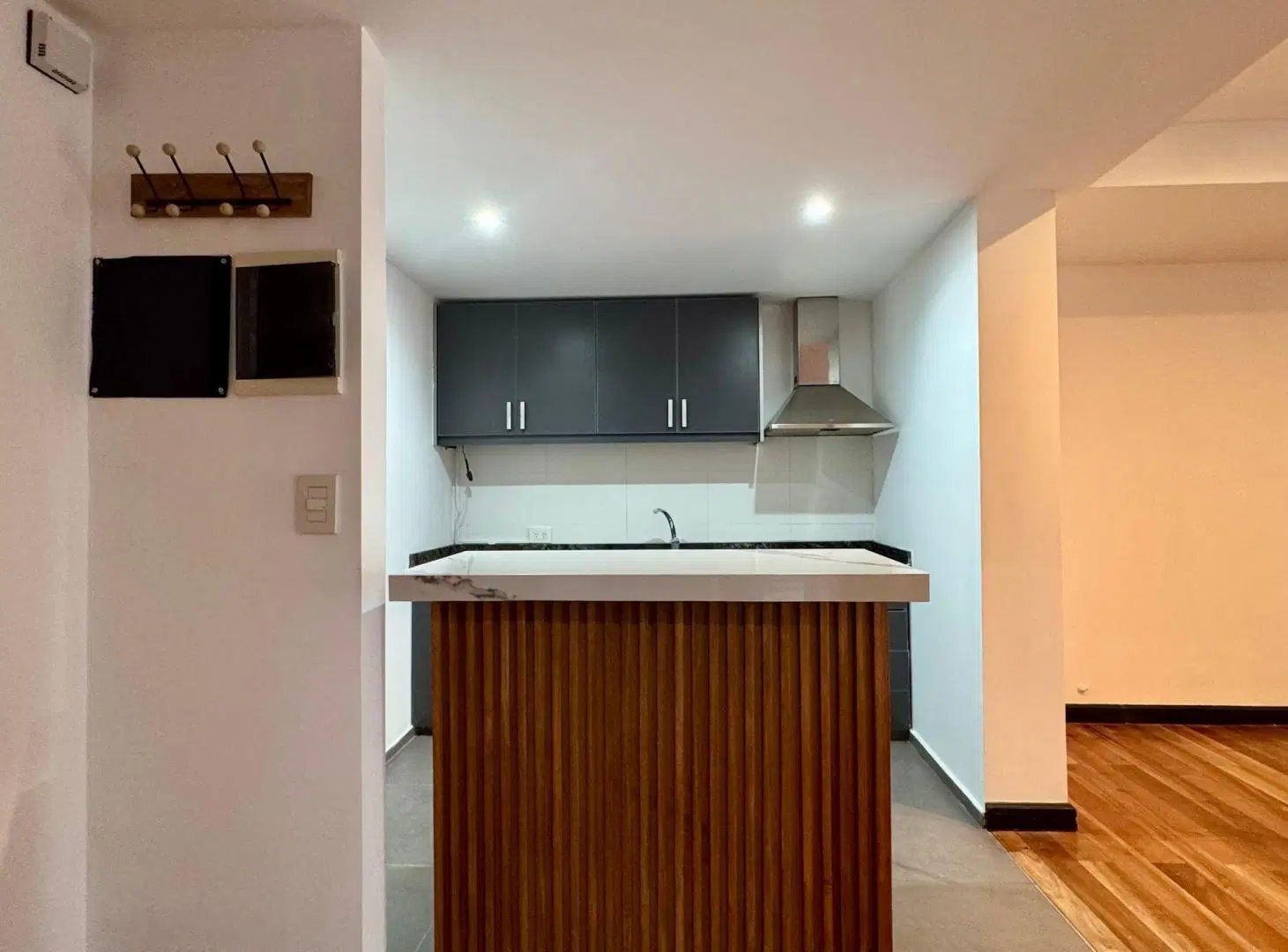 VENTA DEPTO 2 AMB COCHERA Y TERRAZA PROPIA MORENO 1