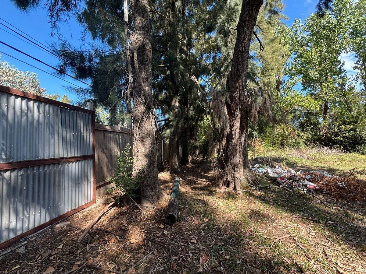 Foto de VENTA LOTE 1000 M2 MASCHWITZ-ESCOBAR, imagen 4