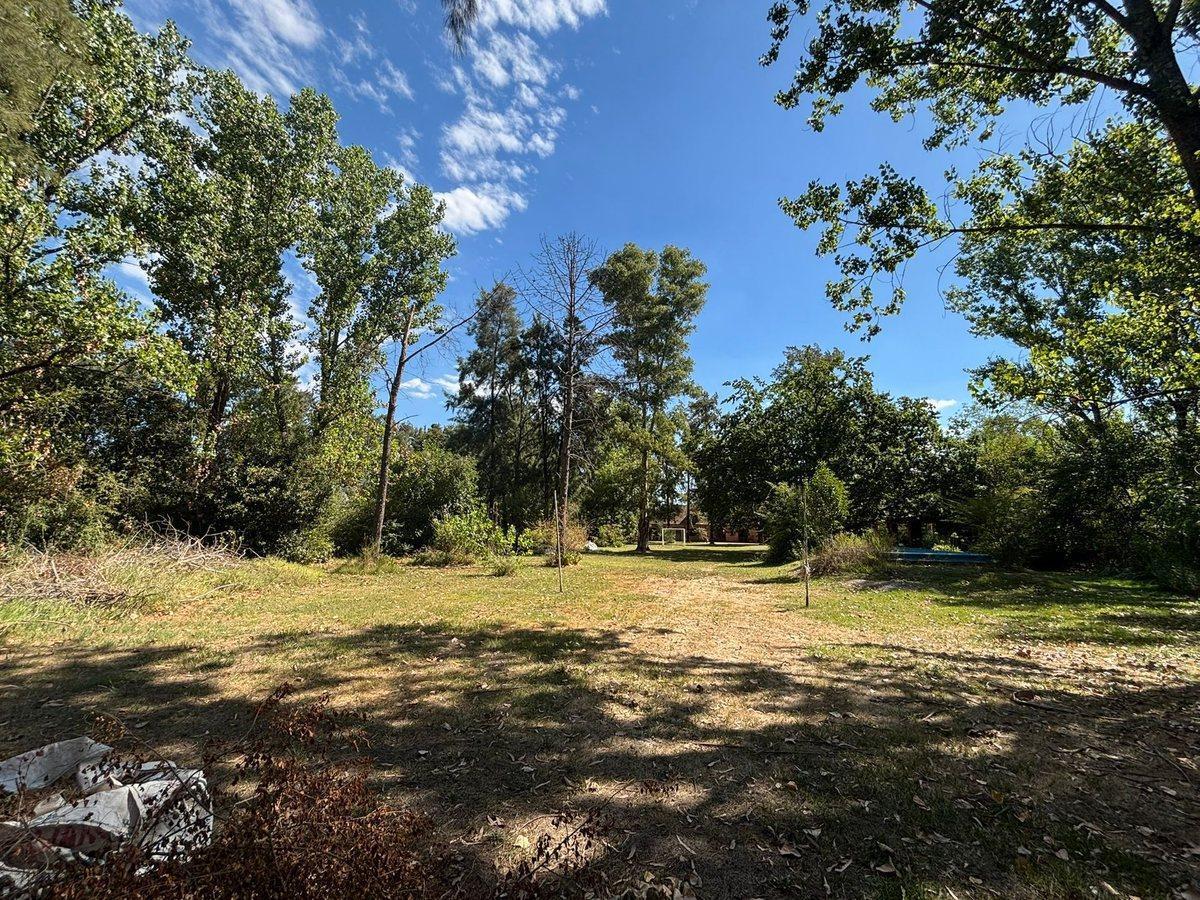 Foto de VENTA LOTE 1000 M2 MASCHWITZ-ESCOBAR, imagen 3