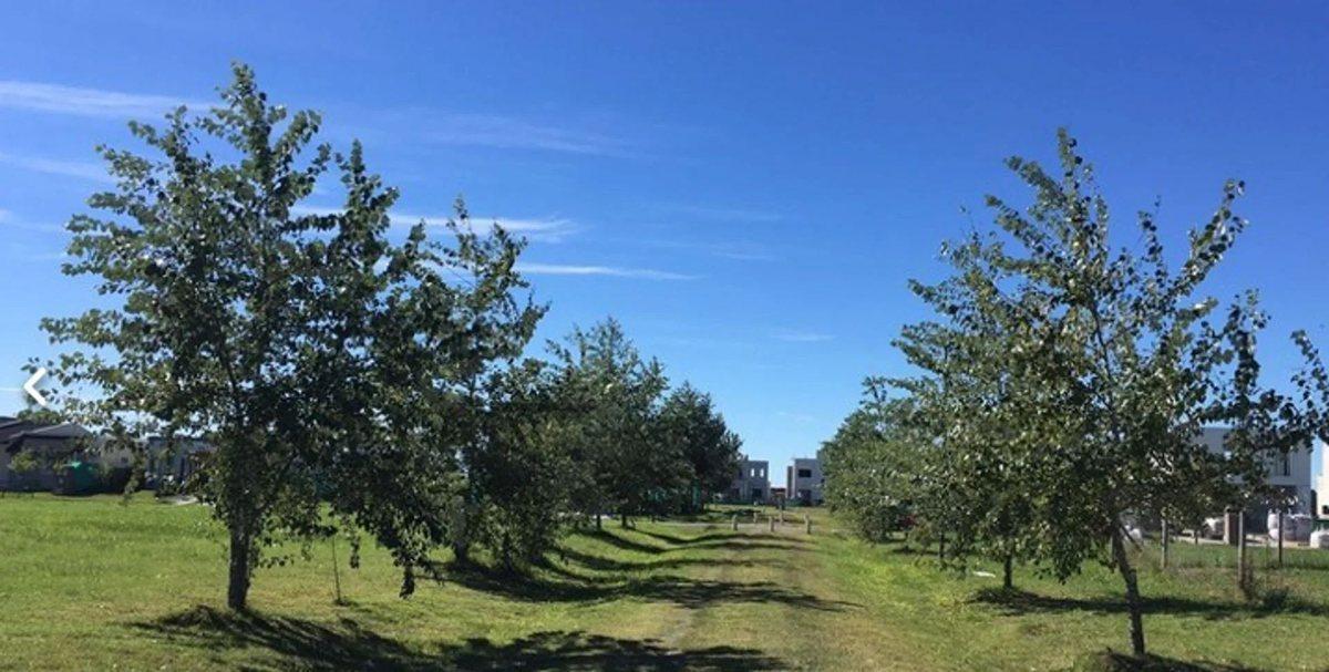 Foto de VENTA LOTE LAGUNA AZUL 389mts | Etapa 1 |Escritura, imagen 1