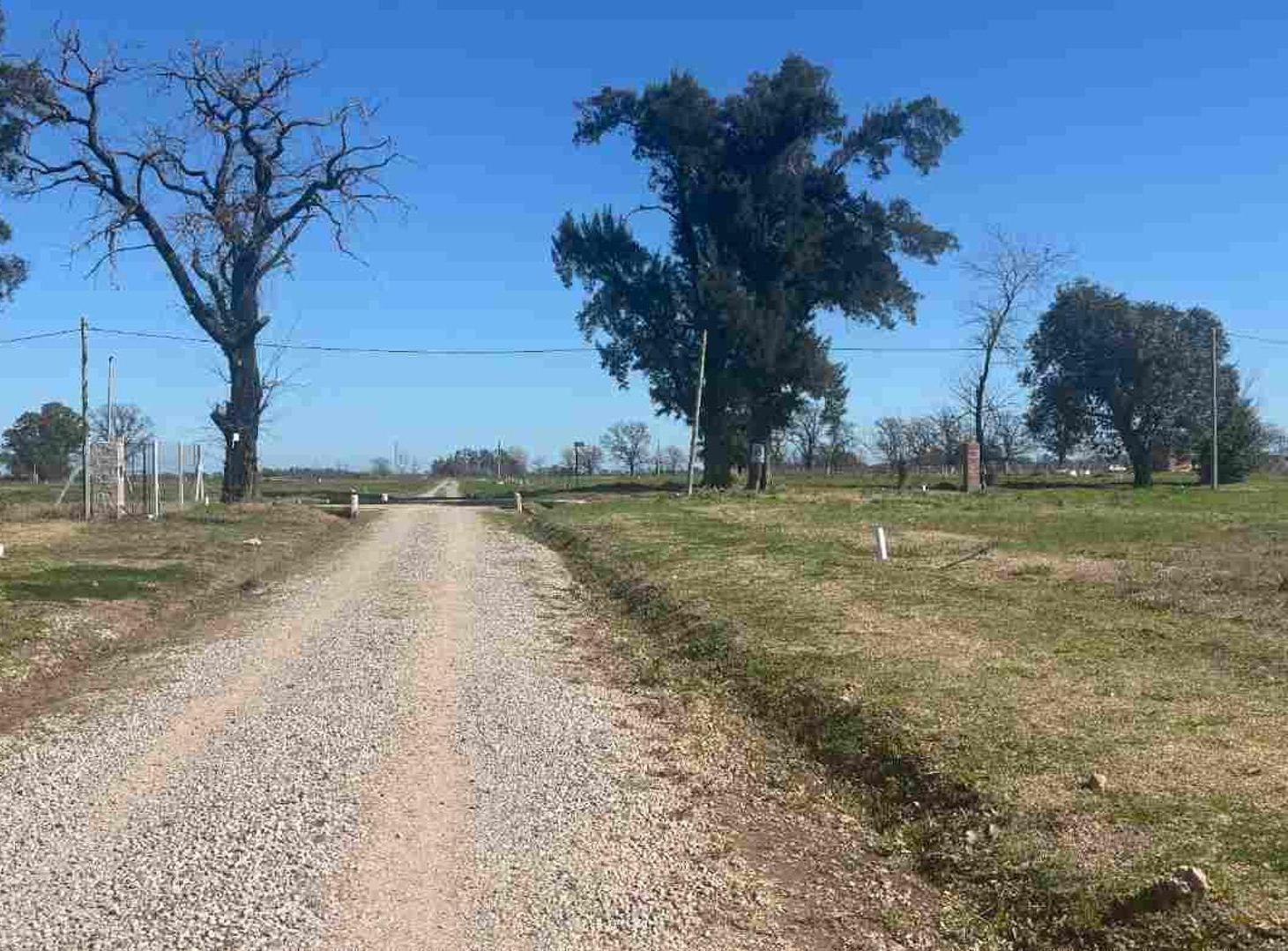 Foto de VENTA LOTE GENERAL RODRIGUEZ, imagen 3