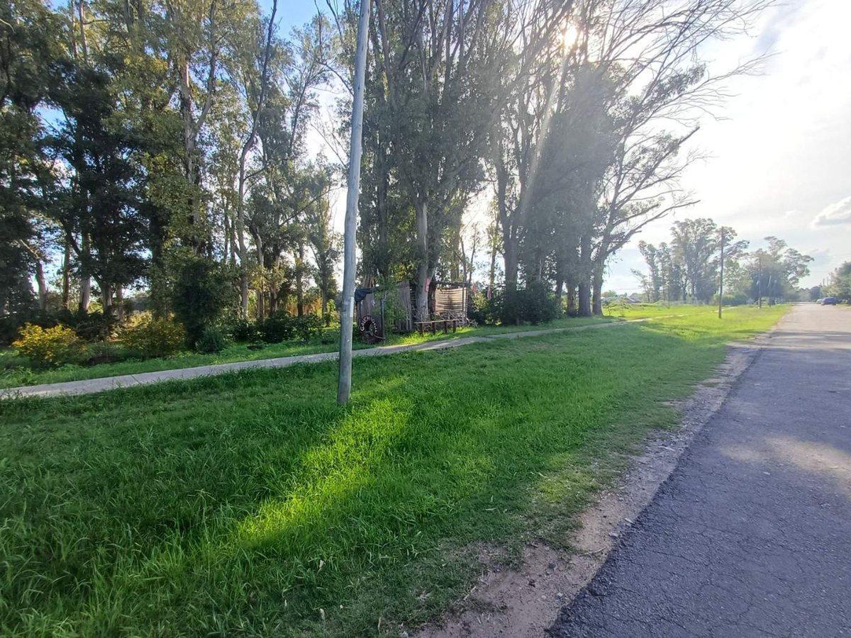 Foto de VENTA CASA MULTIFAMILIAR PERMUTA FATIMA PILAR, imagen 3