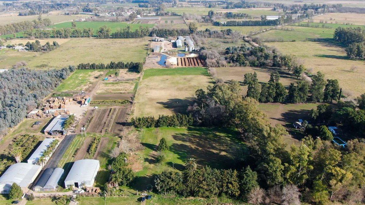 Foto de LOTE INDUSTRIAL RODRIGUEZ 3 HECTAREAS, imagen 4