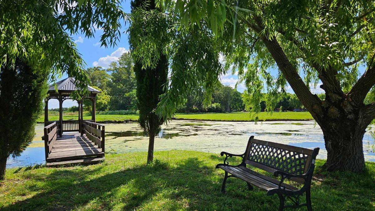 Foto de VENTA LOTE 1559 M2 HARAS SAN PABLO GRAL RODRIGUEZ, imagen 4