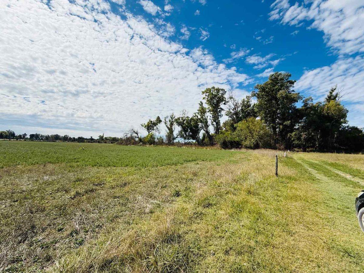 Foto de Campo en venta, Pilar, imagen 4