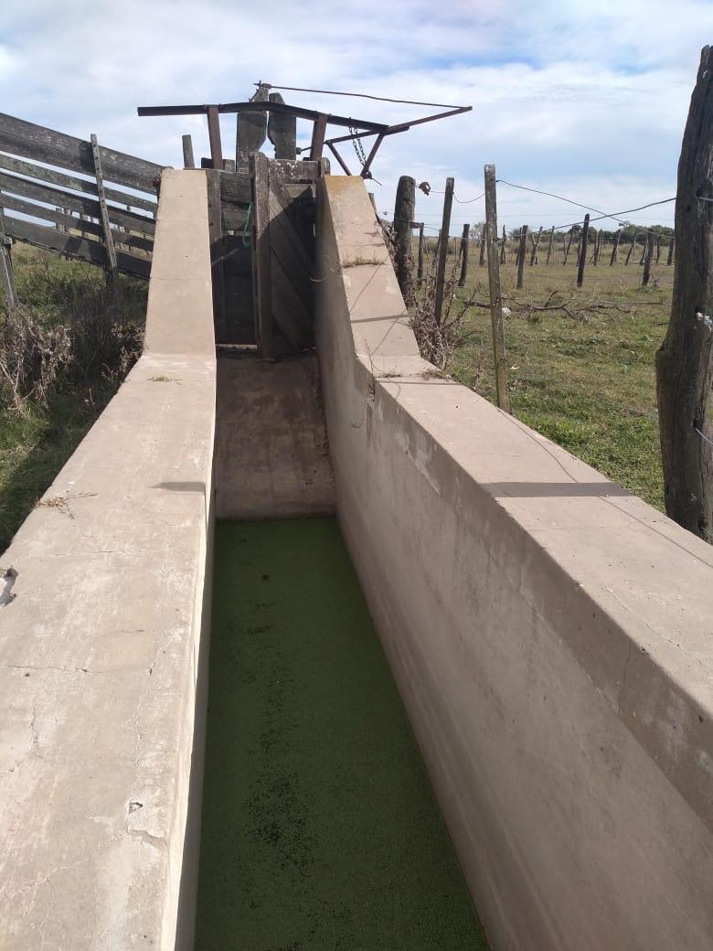 Foto de Campo ganadero en venta o alquiler zona san cristobal permutas, imagen 5