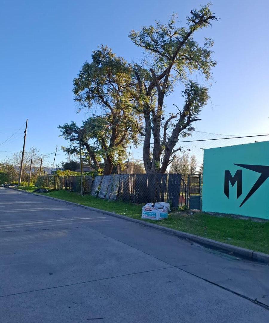 Foto de Terreno en venta, imagen 5