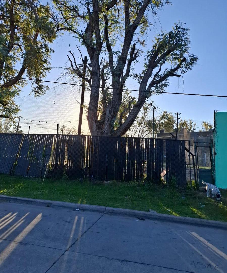 Foto de Terreno en venta, imagen 5