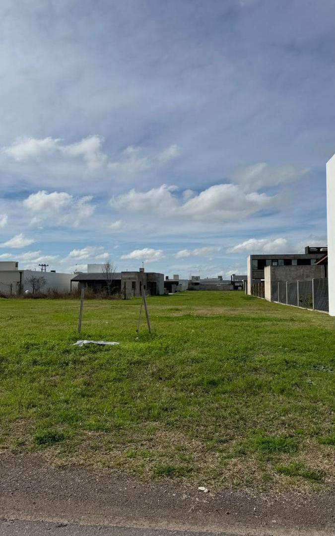 Foto de Terreno en Don Mateo, imagen 1