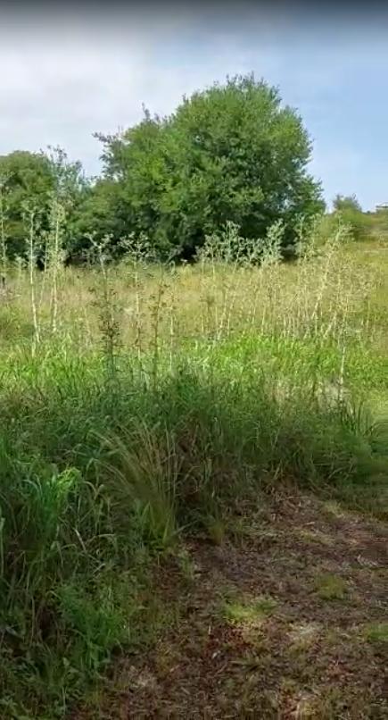 Vendo Lote 650 m² en Loteo Privado Keoken en Tanti Oportunidad 1
