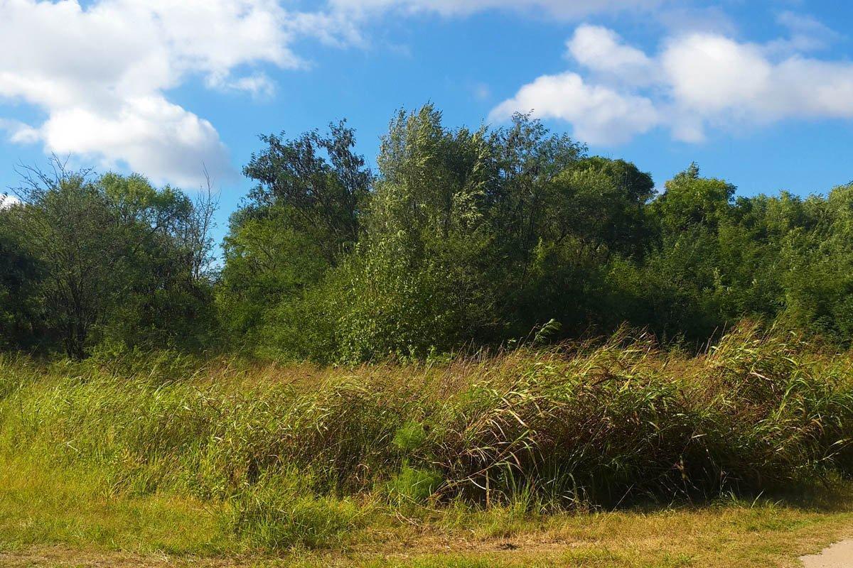 Foto de VENTA - PERMUTA - LOTE 5000 m2 - ANISACATE - CON ESCRITURA, imagen 3