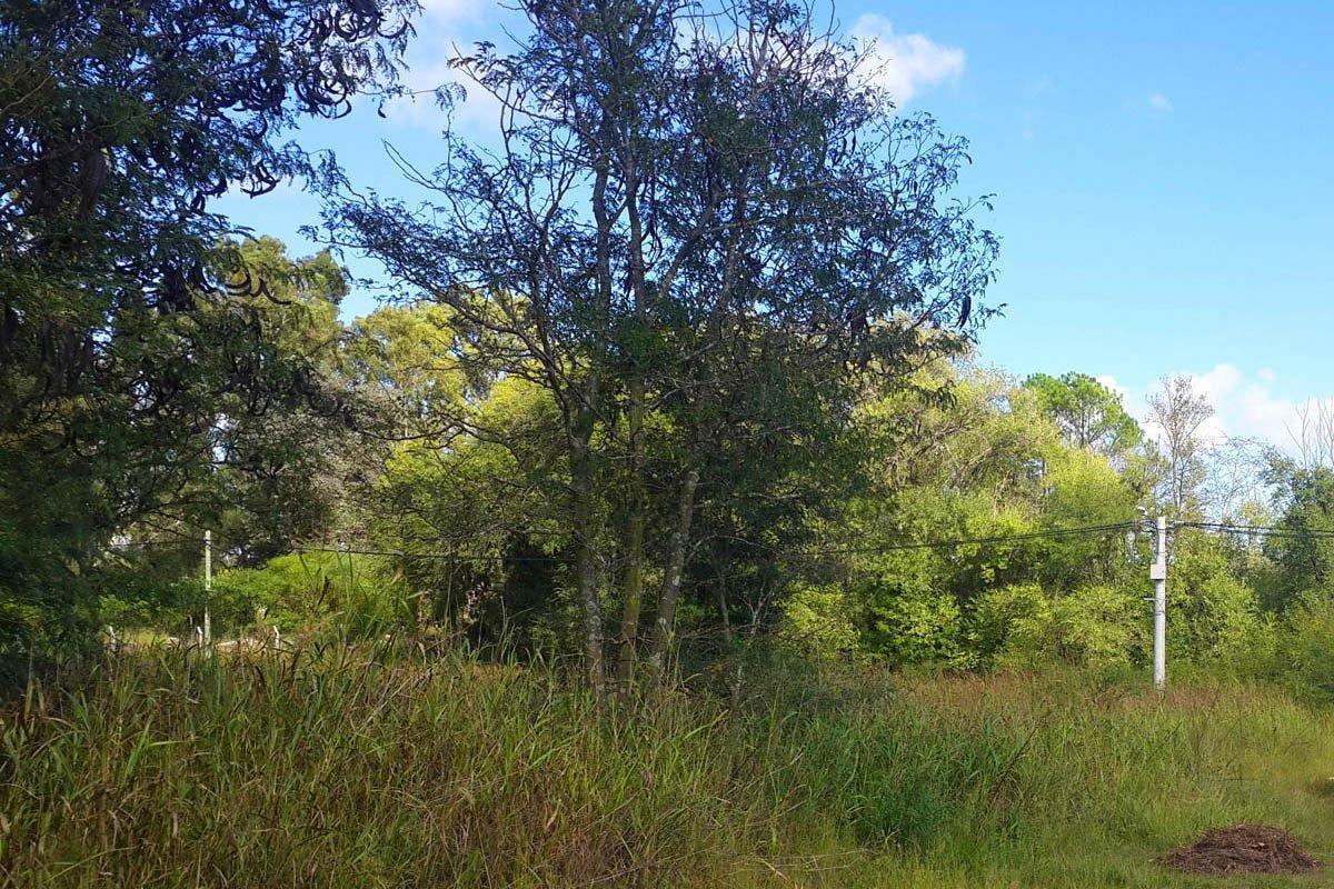 VENTA - PERMUTA - LOTE 5000 m2 - ANISACATE - CON ESCRITURA