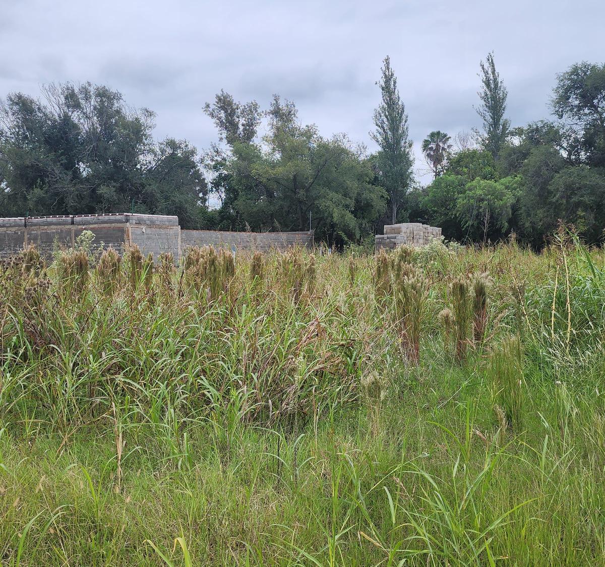 Vendo Terreno Bº Cerrado Granja Valeriana Apto Duplex 250m2