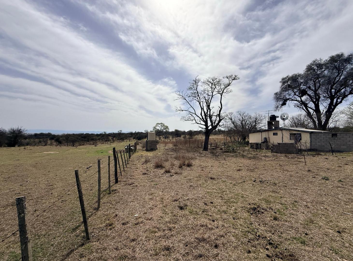 Foto de VENTA - CAMPO VILLA QUILLINZO 46 HECTAREAS - ESCRITURA, imagen 2