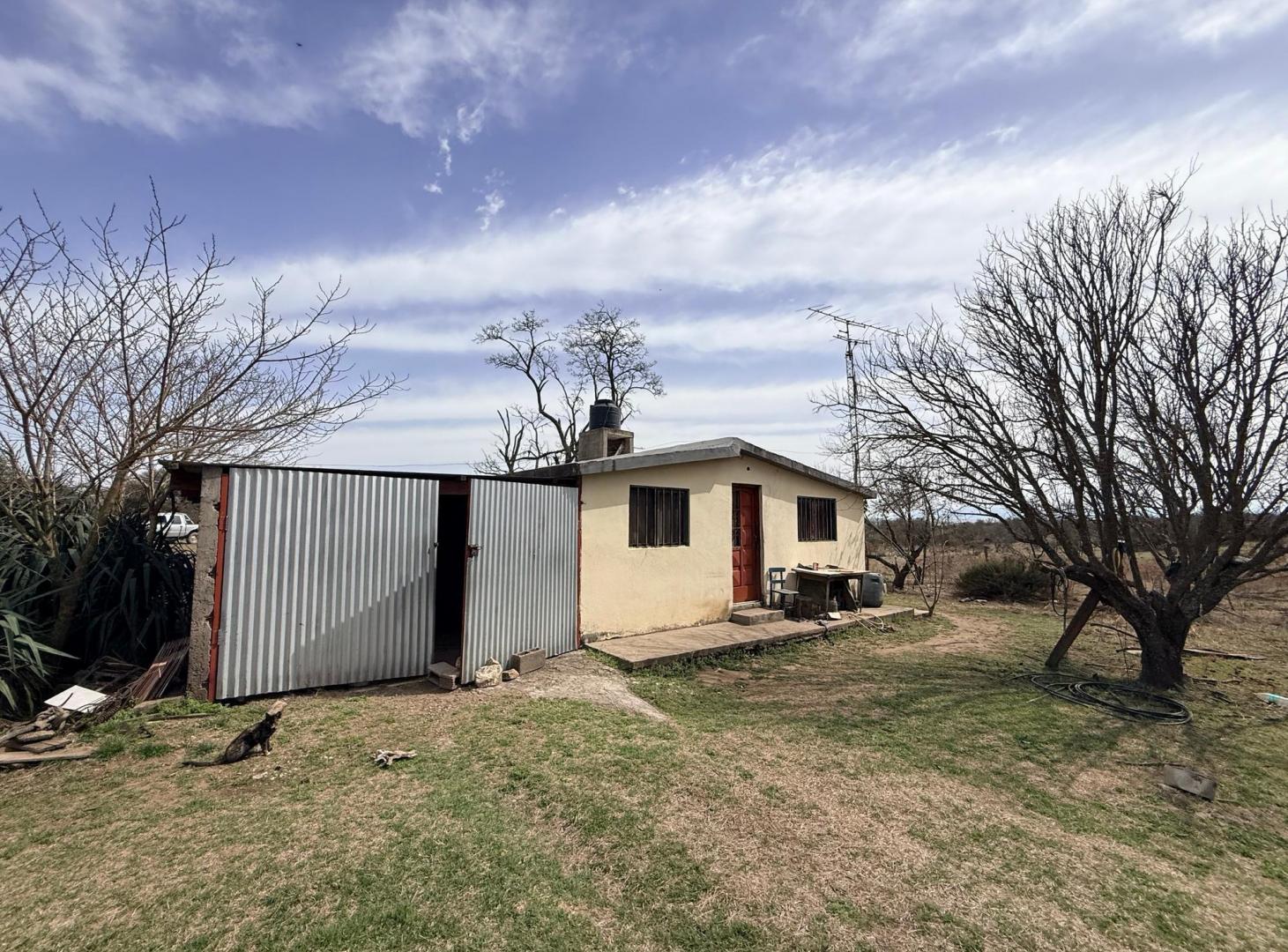 Foto de VENTA - CAMPO VILLA QUILLINZO 46 HECTAREAS - ESCRITURA, imagen 4