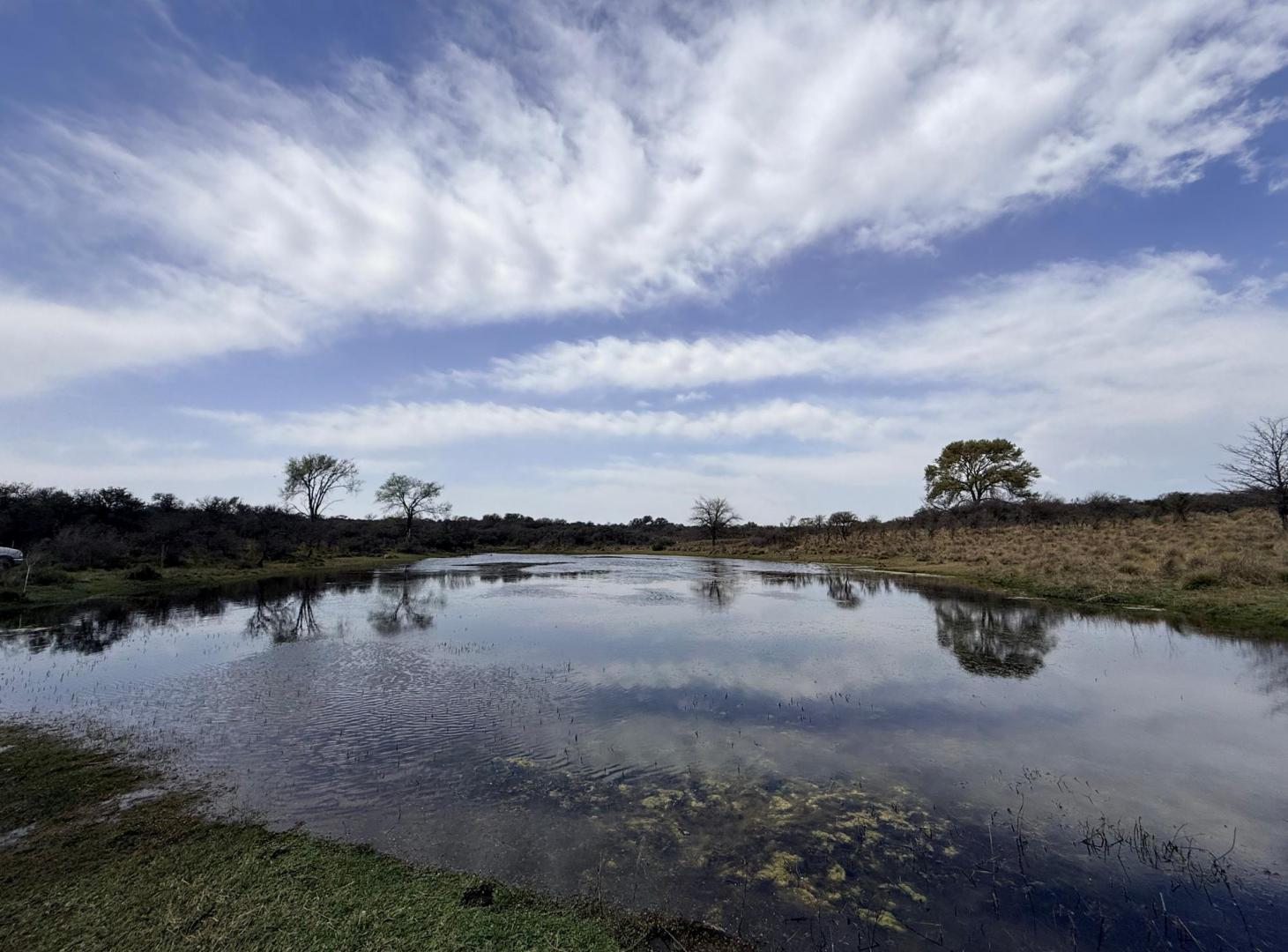 Foto de VENTA - CAMPO VILLA QUILLINZO 46 HECTAREAS - ESCRITURA, imagen 1