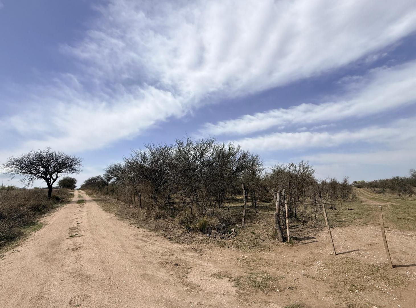 Foto de VENTA - CAMPO VILLA QUILLINZO 46 HECTAREAS - ESCRITURA, imagen 5
