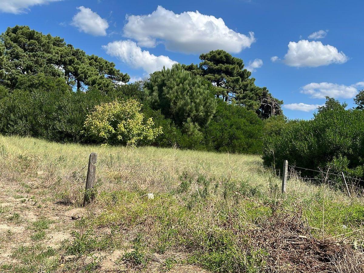 Lote en Villa Gesell - Venta 1