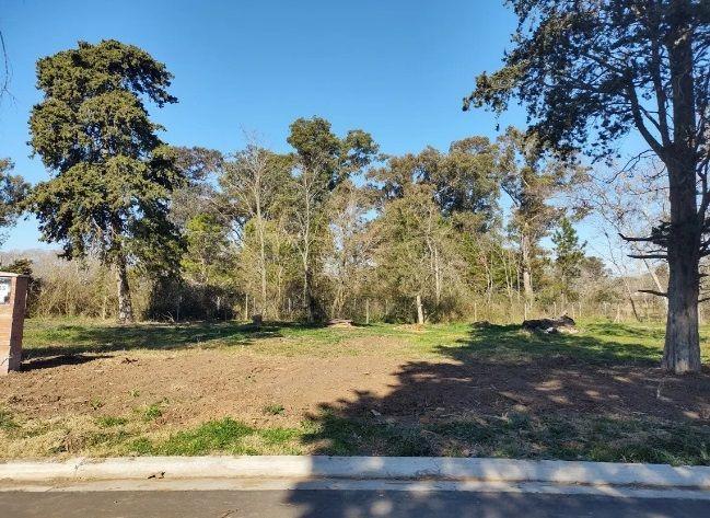 Lote. | 152 4