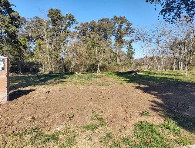 Lote. | 152 5