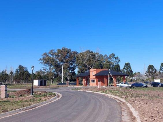 Lote. | 152 2