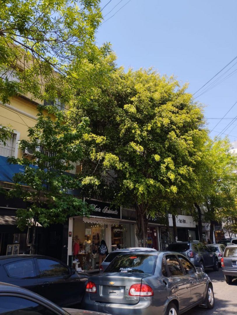 Propiedad en Argentina